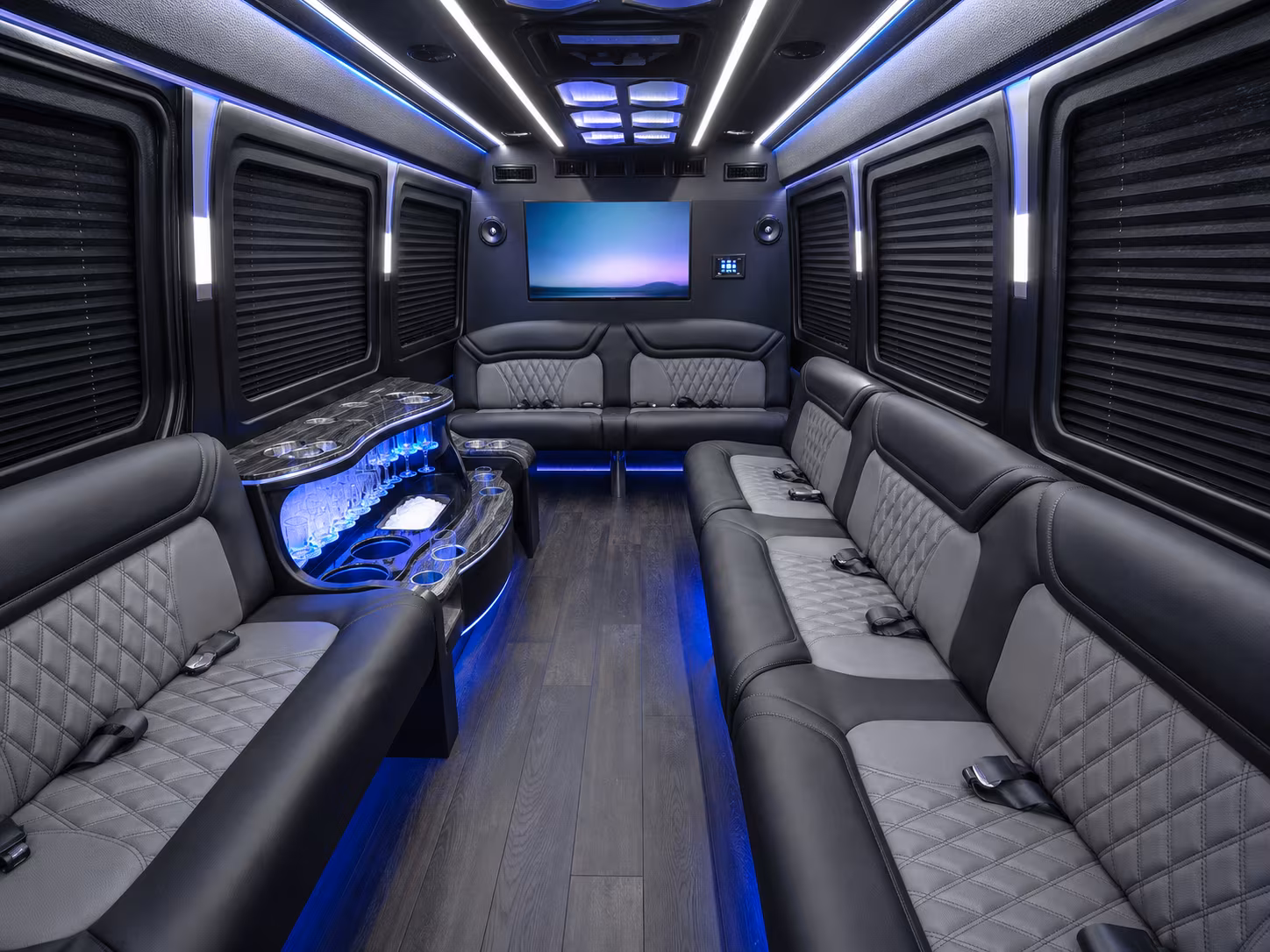 lenexa 30 passenger party bus interior